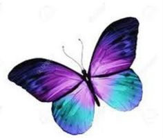 236x199 Butterfly Clipart Light Purple
