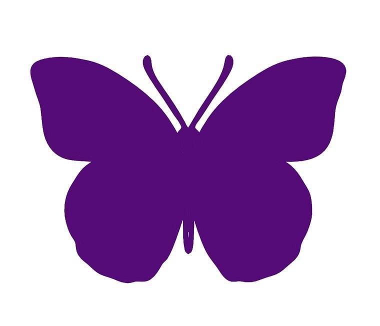 760x652 If You See A Purple Butterfly On A Baby's Crib This Is What It Means.