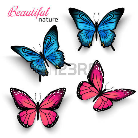 450x450 Purple Butterfly Clipart