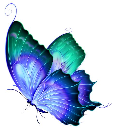 472x554 726 Best Butterfly Designs Images Caterpillar