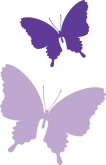 106x165 Search Results For Purple Butterfly ( 22 Found )