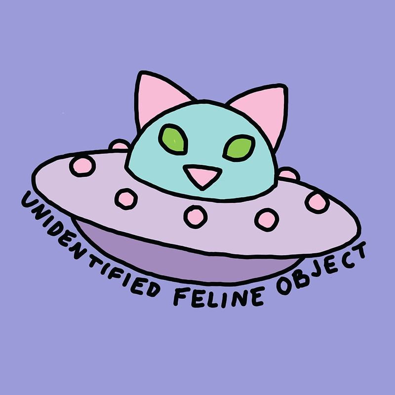 800x800 Clip Art White Lace Clipart