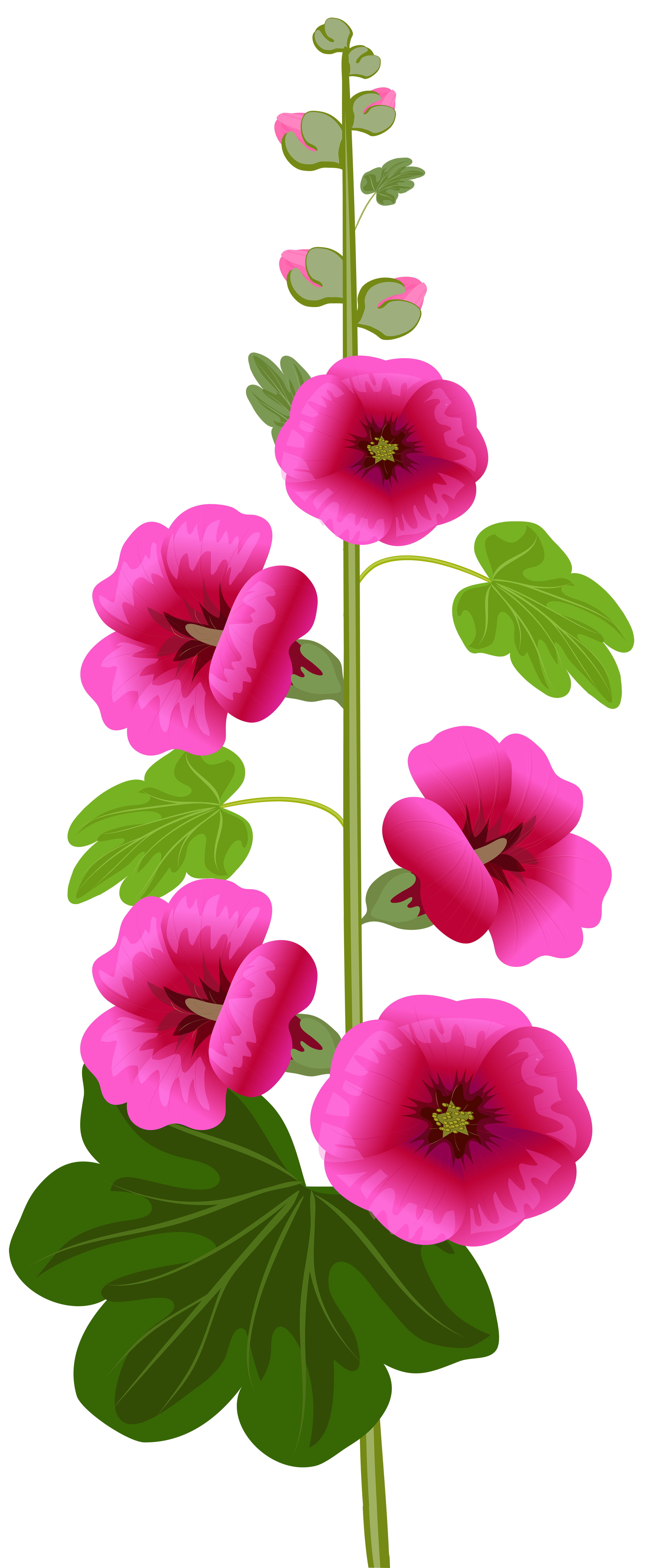 3298x8000 Purple Flower Clip Art Imageu200b Gallery Yopriceville