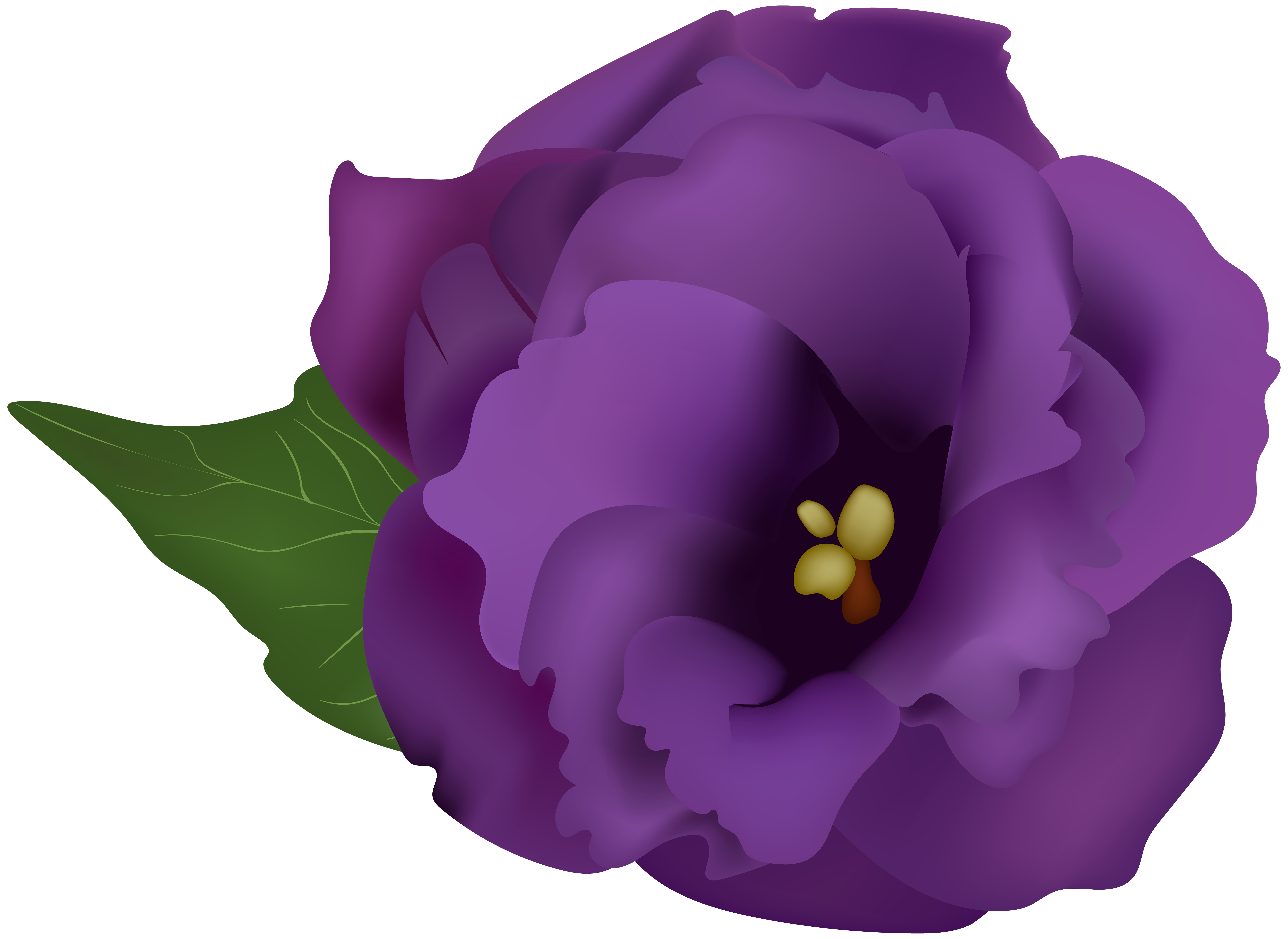 Purple Flowers Clipart | Free download on ClipArtMag