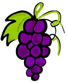 225x281 Grapes Clipart Clipart Panda