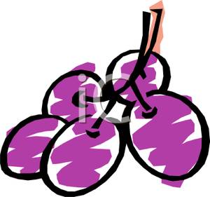 300x281 Grapes On A Branch Clip Art Image