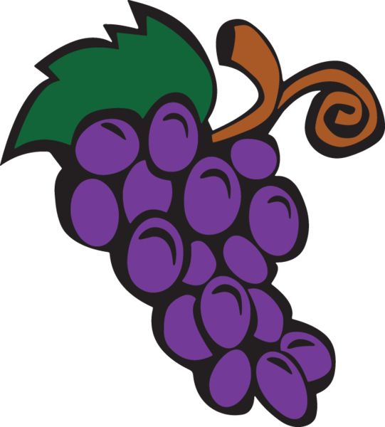 541x600 562 Grapes Amp Vine Clip Art From Oldcuts.co Grape