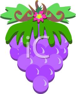244x300 Bunch Of Purple Grapes Clipart Picture