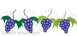300x140 Clip Art Of Purple Grapes On The Vine