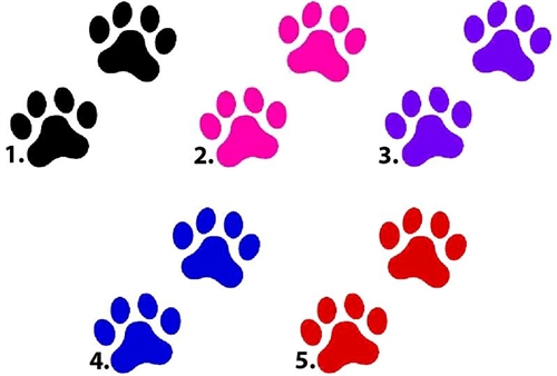 500x338 Dog Paw Prints