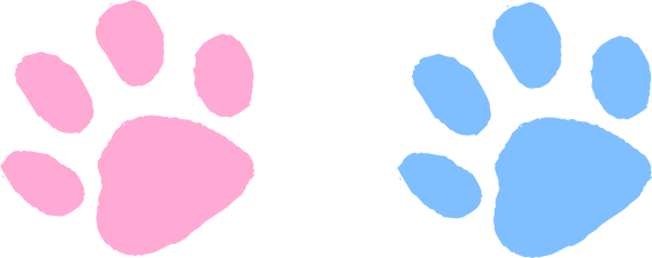 600x238 Colorful Clipart Paw Print
