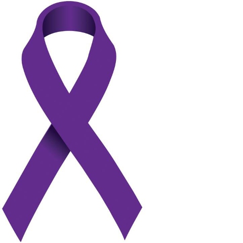 480x480 The Purple Ribbon And What It Stands