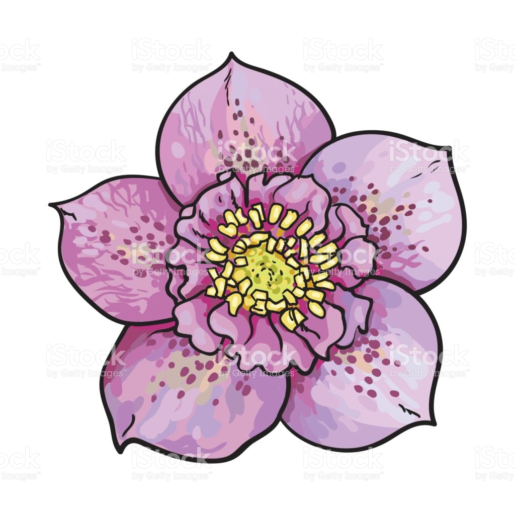 1024x1024 Purple Rose Clipart Single