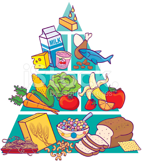492x556 Food Pyramid Clip Art