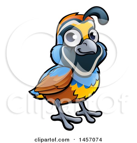450x470 Clipart Of A Cartoon California Quail Bird