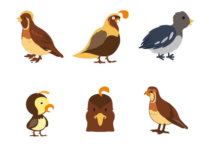 700x490 Free Quail Icons Vector