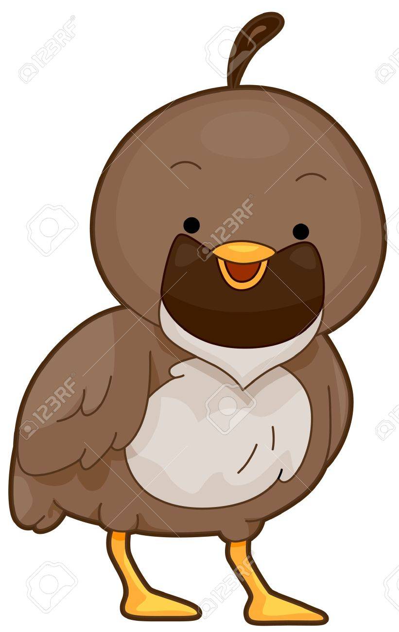 821x1300 Illustration Of A Quail Flashing A Smile Stock Photo, Picture