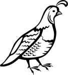 135x150 Image Search Results