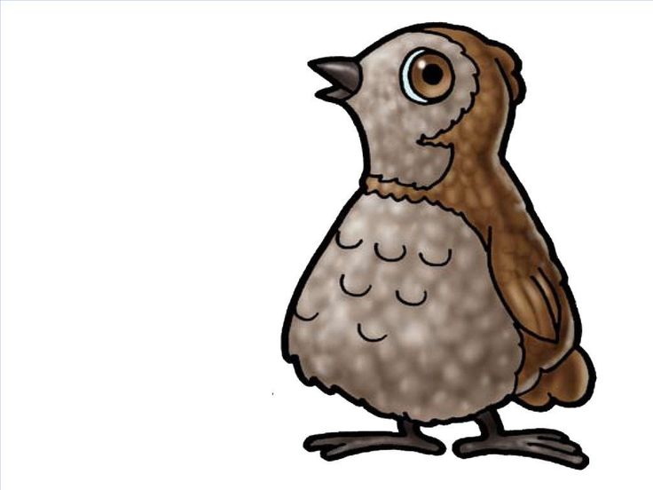 736x552 36 Best Moses