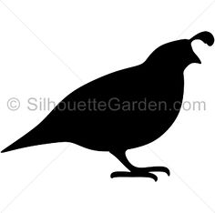 236x234 Quail Silhouette For Some Reason, The Quail Has Always Reminded