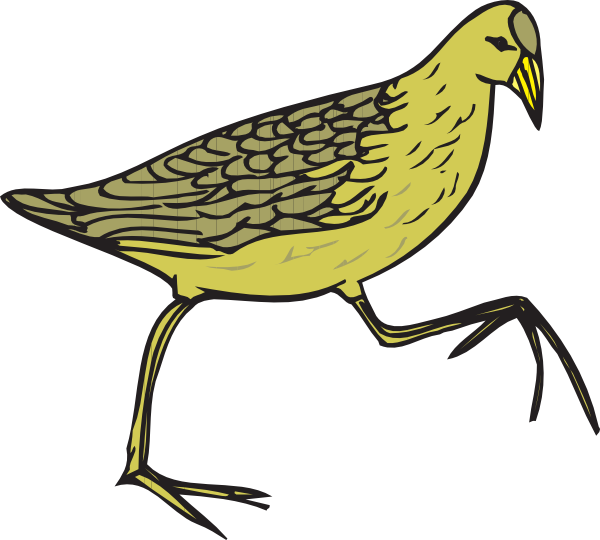 600x540 Quail Clipart Animated