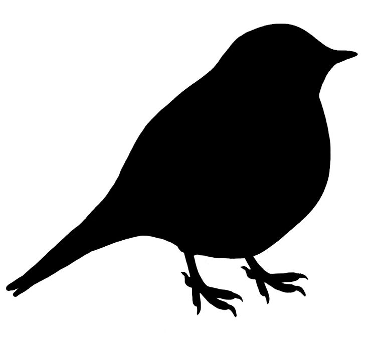 736x674 Blackbird Clipart Bird Shadow