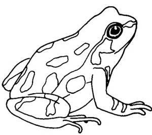 300x265 Cute Frog Clip Art Black And White Clipart Panda