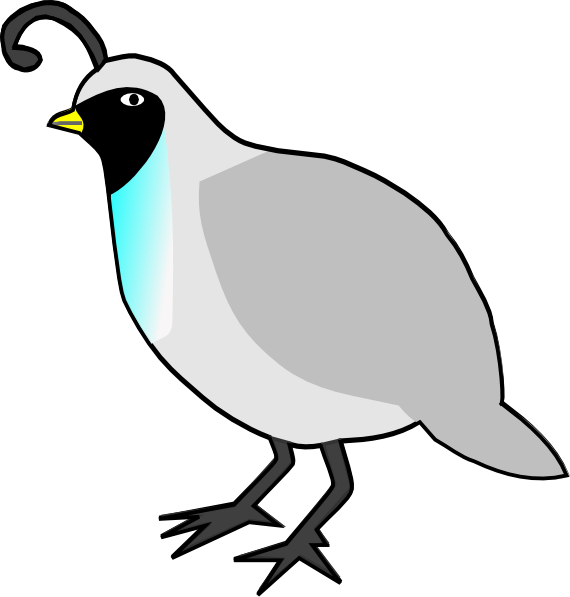 570x597 Quail Clipart Black And White