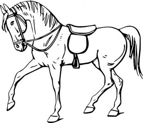 Quarter Horse Clipart