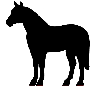 310x293 Pony Head Cliparts