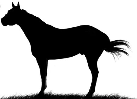 450x327 Quarter Horse Clipart