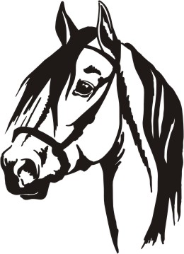 260x359 Head Clipart Quarter Horse