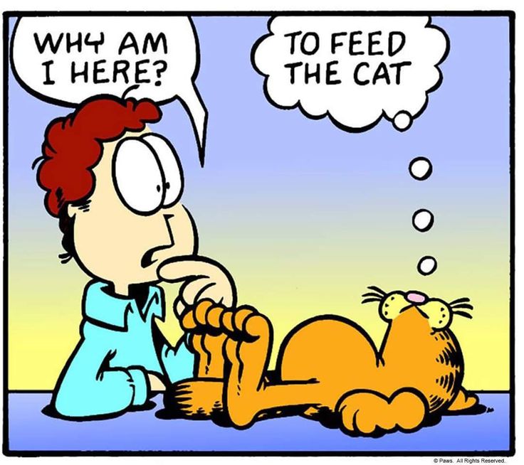 736x654 111 Best Garfield Images Friends, Cartoon And Funny