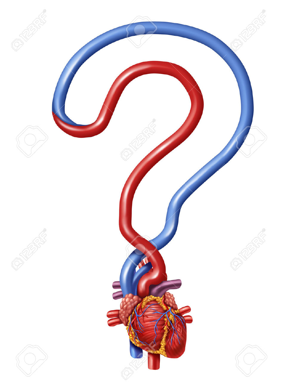 1026x1300 Question Mark Clipart Blood