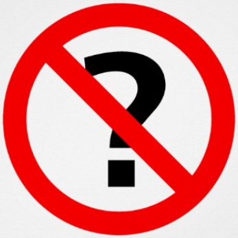 347x347 No Questions Andrew Geller Online