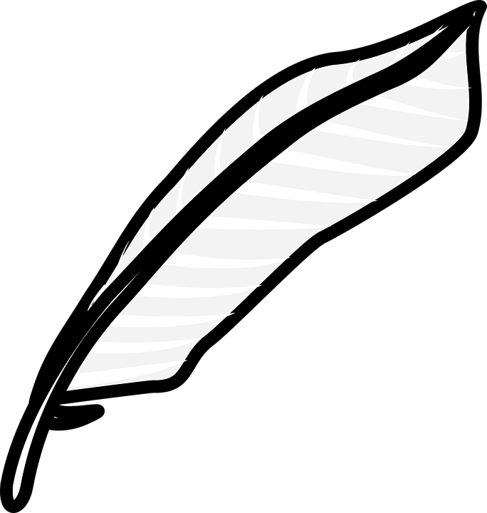 684x720 Quill Clipart Transparent