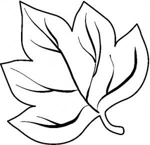 300x290 Leaves Coloring Page Part 2 Diy Leaves, Pre School