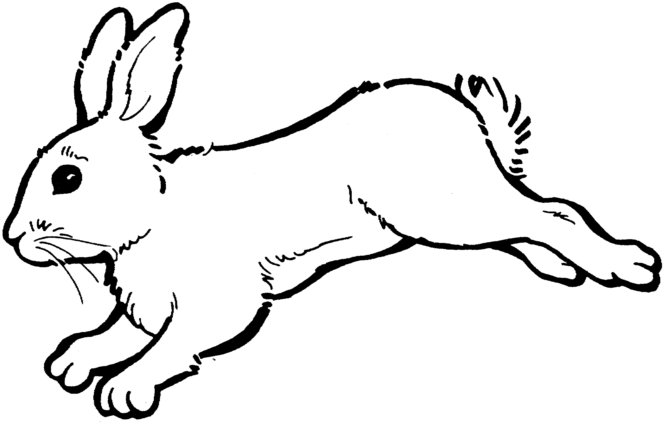 2305x1471 Rabbit Black And White Bunny Black And White Clipart 2