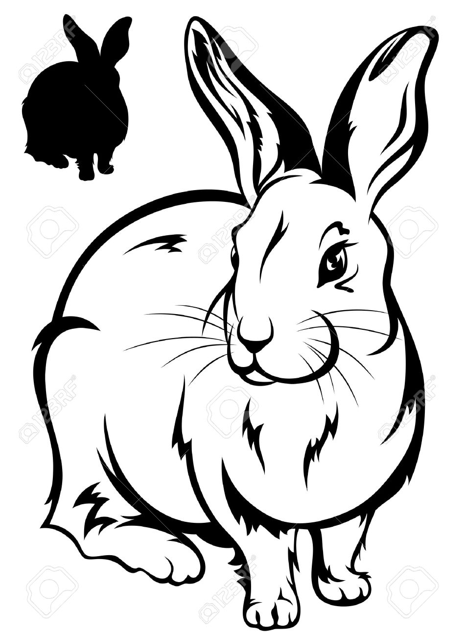 950x1300 Cute Rabbit Illustration