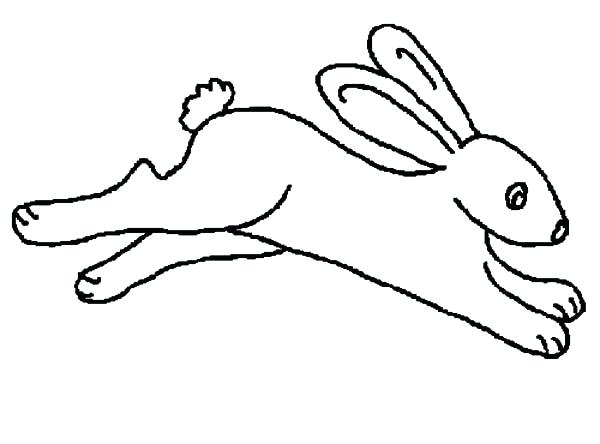 600x444 Outline Of Bunny
