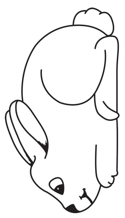 421x732 Bunny Outline