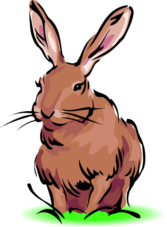 552x750 Easter Bunny Clip Art Rabbit Animals Clip Art Downloadclipart Org