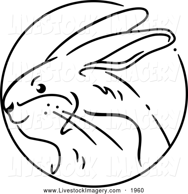 Rabbit Clipart Black And White Free download on ClipArtMag