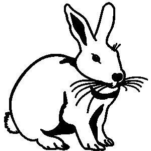 300x300 Top 94 Hare Clip Art