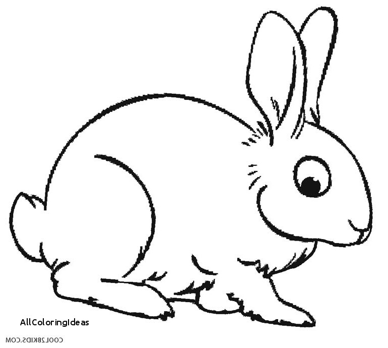770x690 Free Rabbit Coloring Pages