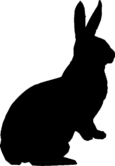 486x699 Clipart Practica Technical