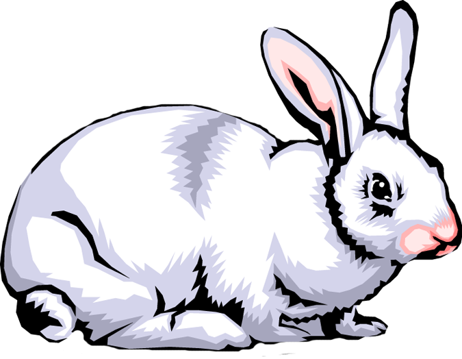 675x524 Rabbit Clip Art Pictures Clipart Panda