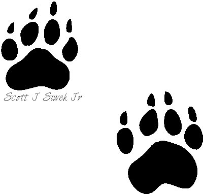 400x382 Raccoon Paw Prints Clip Art