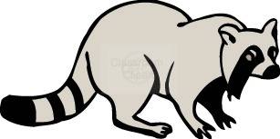 307x153 Raccoon Clip Art