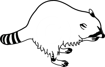 350x225 Raccoon Clip Art Pictures Free Clipart Images 4